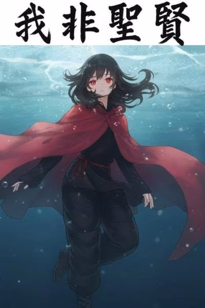 我非圣贤
